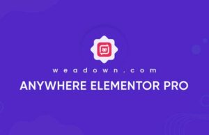 AnyWhere Elementor Pro 2.29.2 – CodeGiga0 AnyWhere Elementor Pro 2.29.2 – CodeGiga0